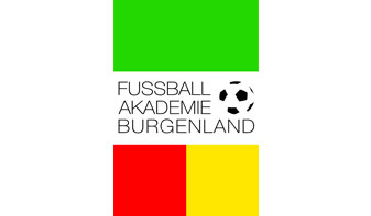 Fußball Akademie Mattersburg: Reinigung optimieren 2014